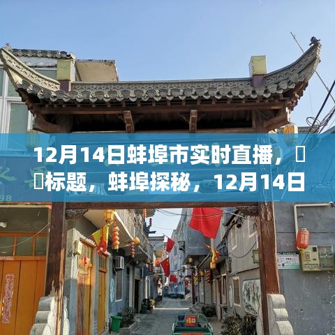 蚌埠探秘，12月14日直播之旅，与自然共舞寻找内心宁静