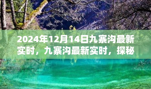 九寨沟探秘，感受大自然魅力的最新实时之旅（2024年12月14日）