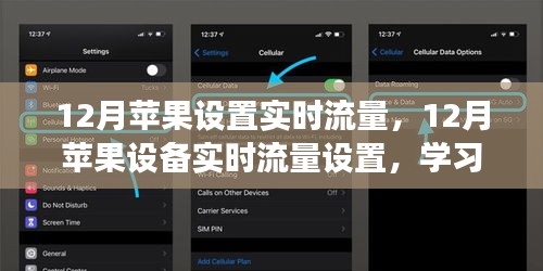 拥抱自信与成就感的旅程，苹果设备实时流量设置指南