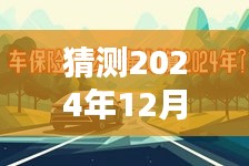 2024年外出摄影指南，实时拍摄技巧与步骤，捕捉美好瞬间的艺术