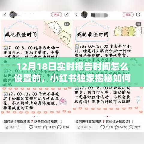 小红书独家揭秘，如何轻松设置12月18日实时报告时间表，高效管理日程安排！