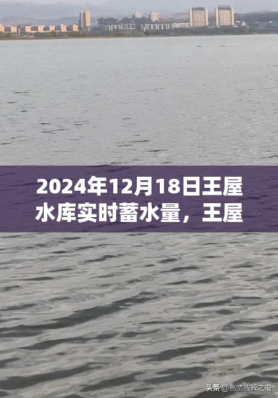 王屋水库实时蓄水量与友情涟漪的交织，2024年12月18日数据更新