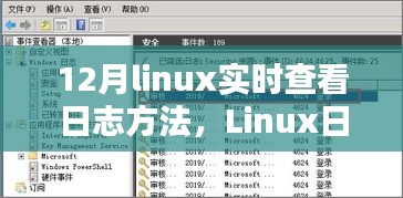 Linux日志实时查看详解，从入门到进阶——十二月特别版