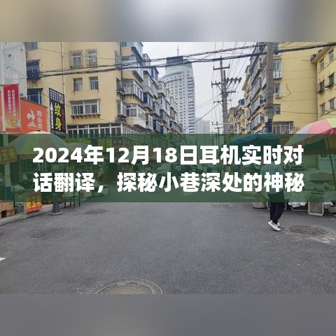 2024年12月19日 第14页