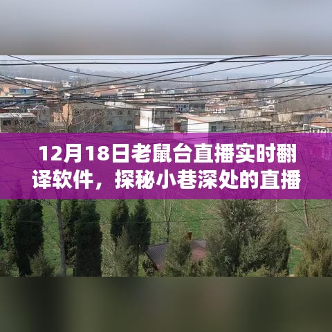 探秘小巷深处的直播宝藏，老鼠台直播实时翻译软件揭秘与直播小店探访