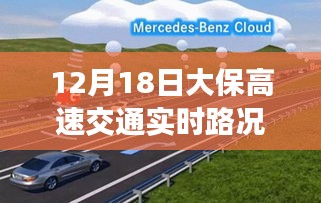 2024年12月19日 第9页