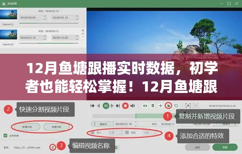 12月鱼塘跟播实时数据掌握指南，初学者也能轻松上手的详细步骤
