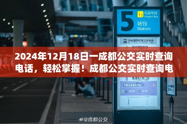 成都公交实时查询电话使用指南，轻松掌握公交信息（适用于初学者与进阶用户）