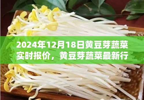 2024年12月18日黄豆芽蔬菜行情，最新报价与深度分析