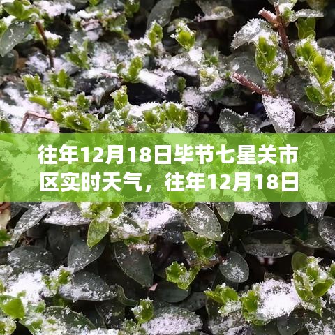 客户服务 第12页