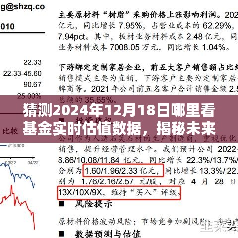 揭秘未来基金实时估值数据，如何查看与预测（以2024年12月18日为例）