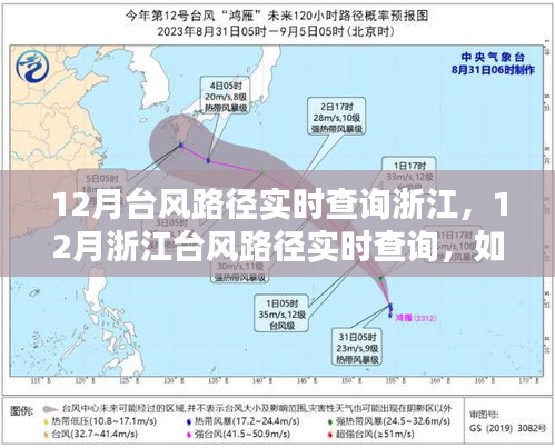 浙江台风路径实时查询，关注与应对指南