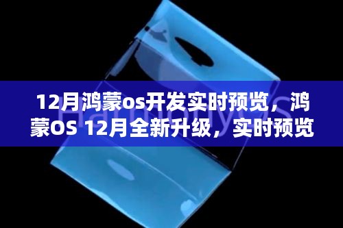 2024年12月20日 第9页