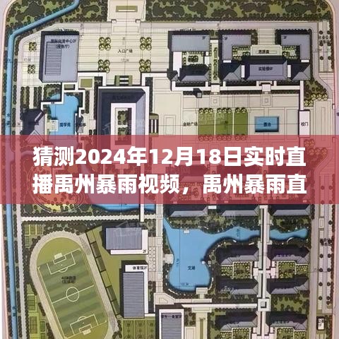 揭秘禹州暴雨，预测2024年12月18日实时直播展现的景象