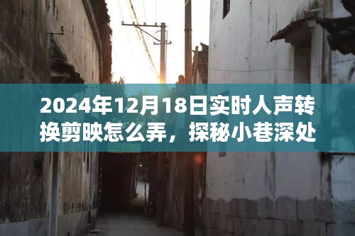 2024年12月20日 第6页