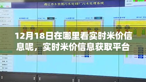 12月18日实时米价信息获取平台全面评测，哪里查看米价更精准？专刊解读