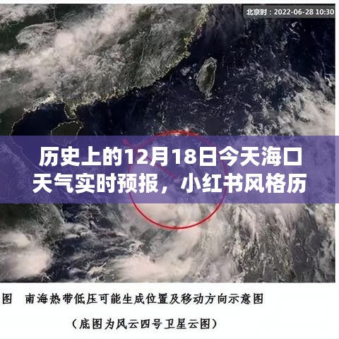 支付优惠 第8页