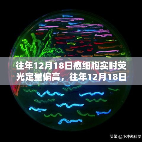 往年12月18日癌细胞实时荧光定量结果分析，偏高现象的观点论述