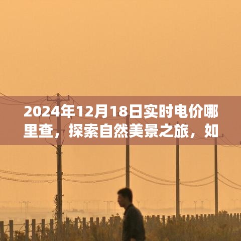 实时电价查询指南与探索自然美景之旅，寻找心灵宁静之地