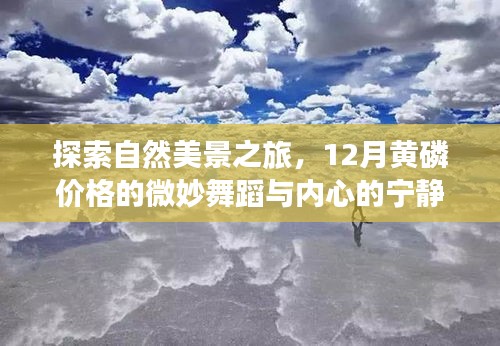 自然探索之旅，黄磷价格的微妙变化与内心的宁静启示