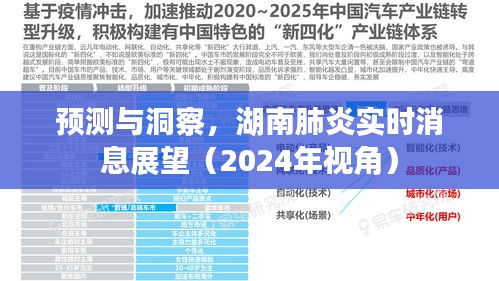 湖南肺炎实时消息展望，预测与洞察（2024年视角）