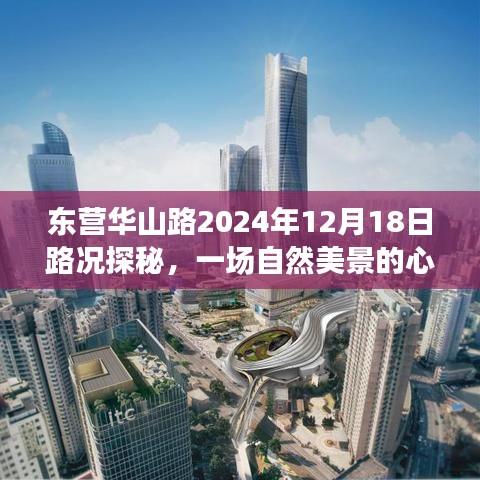 东营华山路探秘之旅，自然美景与心灵之旅的交汇点，2024年12月18日路况揭秘