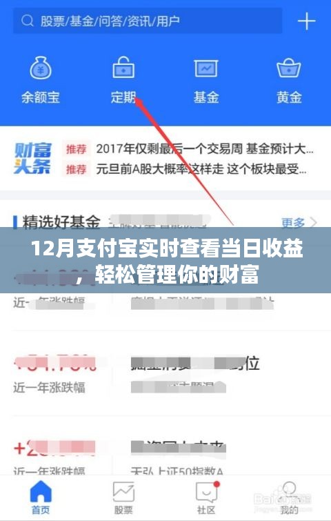 支付宝实时收益查看功能，轻松管理你的财富