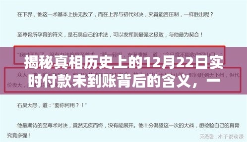 揭秘真相，实时付款未到账背后的含义——历史上的12月22日深度解析！