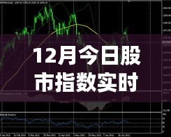 零基础到进阶，股市行情预测全攻略与实时操作指南（12月股市指数实时行情预测）