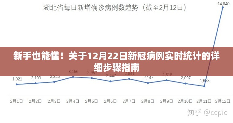 新手指南，如何实时追踪新冠病例统计（12月22日版）