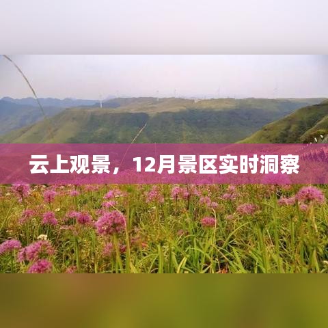 云上观景，12月景区深度游攻略与实时洞察