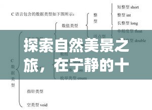 十二月自然探索之旅，C语言实时计时，寻找内心平静与喜悦的旅程