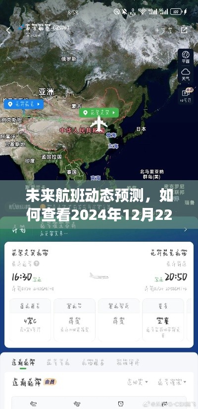 未来航班动态预测，实时查看航班动态，掌握航班信息