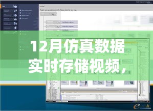 高效存储技术实践，12月仿真数据实时存储视频的优化策略