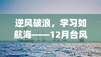 逆风破浪，学习如航海，台风路径图见证成长与自信之路