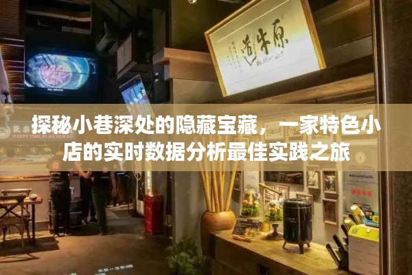 探秘小巷深处隐藏宝藏，特色小店实时数据分析之旅