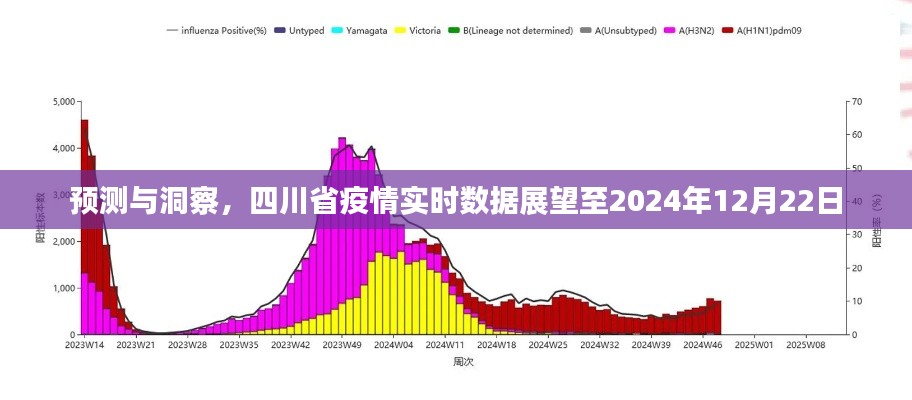 2024年12月 第41页