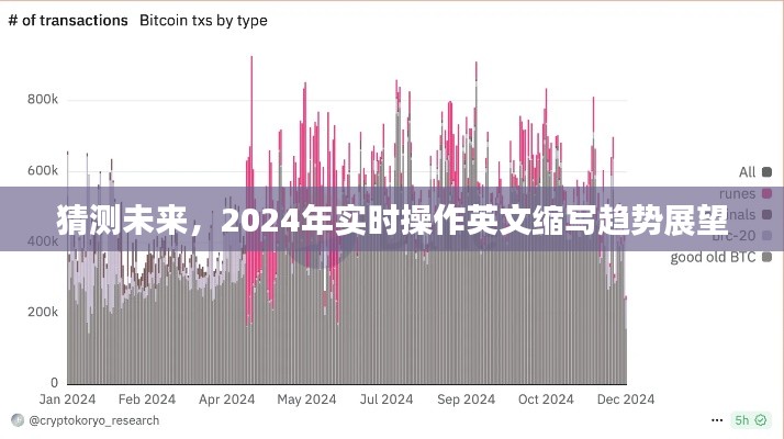 未来展望，2024年实时操作英文缩写趋势预测