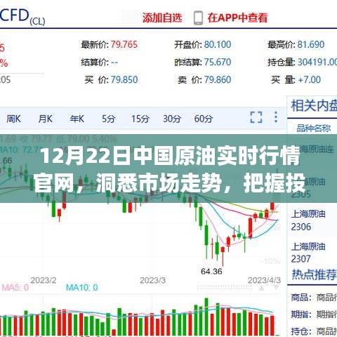 中国原油实时行情官网最新动态，洞悉市场走势，把握投资机遇