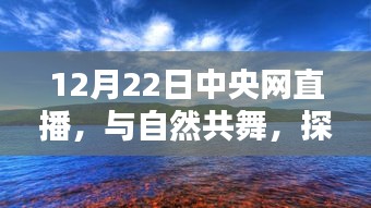 探寻内心的宁静港湾，与自然共舞直播开启