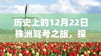 探寻内心平静之力的株洲驾考之旅，历史12月22日与自然美景的邂逅