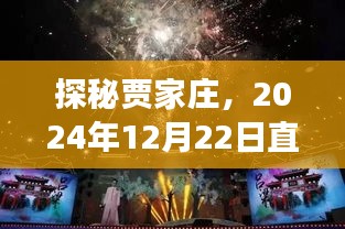 探秘贾家庄，直播盛宴背后的秘密角落——2024年12月22日直播纪实