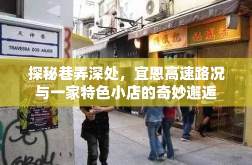 探秘巷弄深处的宜恩高速与奇妙小店邂逅记