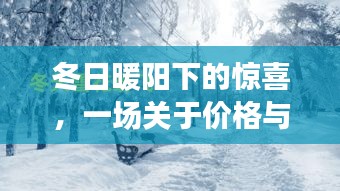 冬日暖阳下的友情奇遇，价格与温馨的交织故事