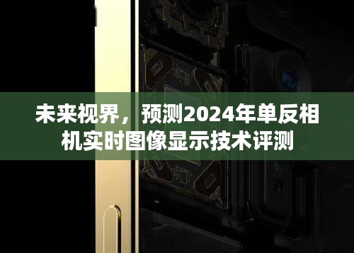 未来视界单反相机实时图像显示技术评测，预测2024年展望