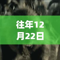 2024年12月25日 第13页