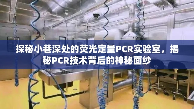 探秘小巷深处的荧光定量PCR实验室，揭开PCR技术的神秘面纱