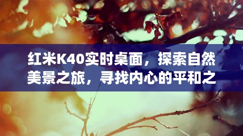 红米K40实时桌面，自然美景探索之旅，内心平和的寻访之旅