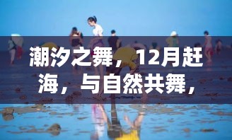 潮汐之舞，12月赶海，共舞自然，探寻内心宁静平和的旅程