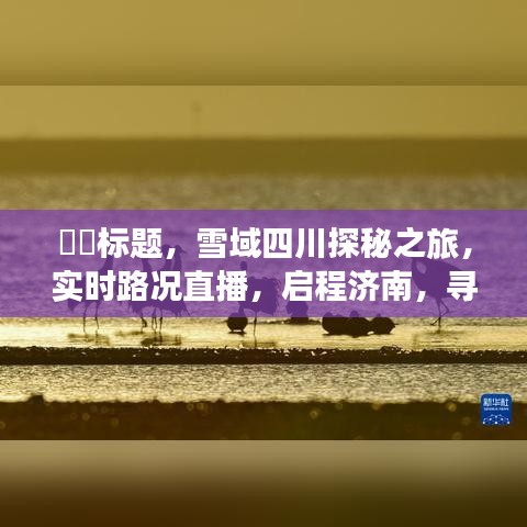 雪域四川探秘之旅，实时路况直播启程济南，追寻内心宁静与微笑的旅程